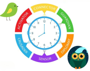 early bird or night owl
