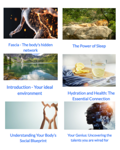Course modules