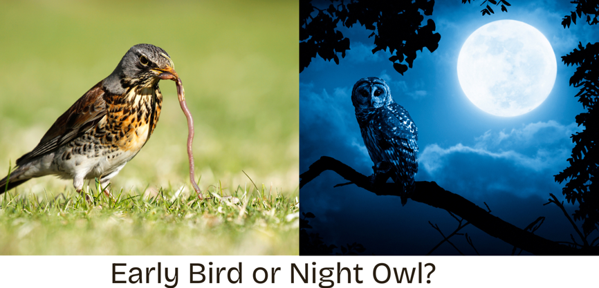 Are you an early bird or night owl? Early or late?